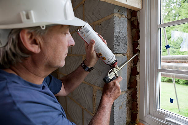 Best Insulation Repair Services  in USA